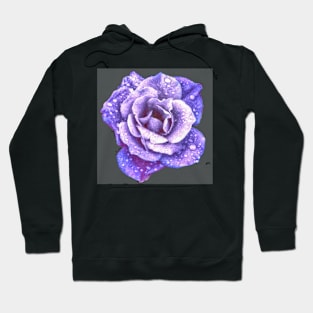 Midnight Purple Rose with Raindrops Hoodie